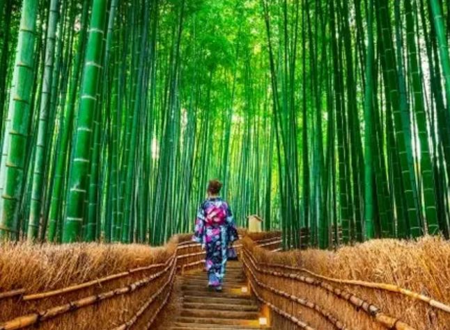 Fantasías de Japón